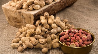 Brasil%20%C3%A9%203%C2%BA%20em%20produtividade%20mundial%20de%20amendoim