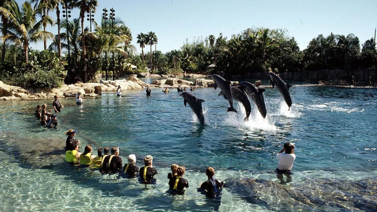 Piscina do Discovery Cove em Orlando, na Flórida (EUA)