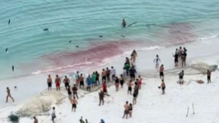 Pesca%20termina%20com%20mancha%20enorme%20de%20sangue%20no%20mar