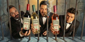 Danilo Gentili, Oscar Filho e Diogo Portugal: reviravolta no INPI