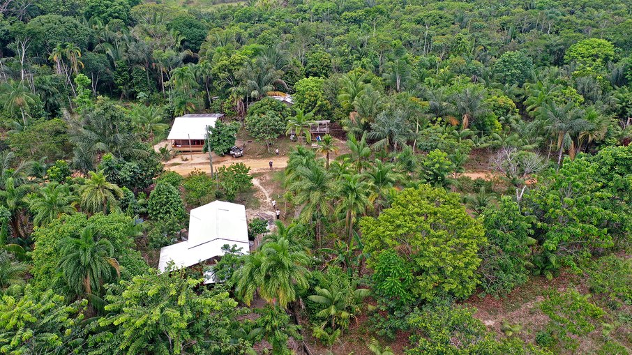 A produção de alimentos acontece sem desmatar ou usar agrotóxicos