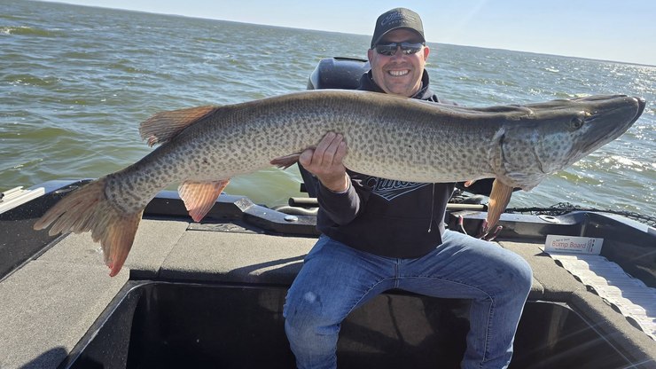 Pescador%20fisga%20l%C3%BAcio-almiscarado%20de%201%2C46%20metro%20e%20bate%20recorde