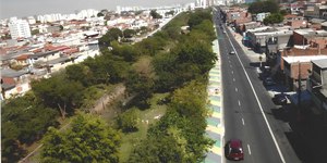 Aposentado planta 41 mil árvores e cria floresta em São Paulo