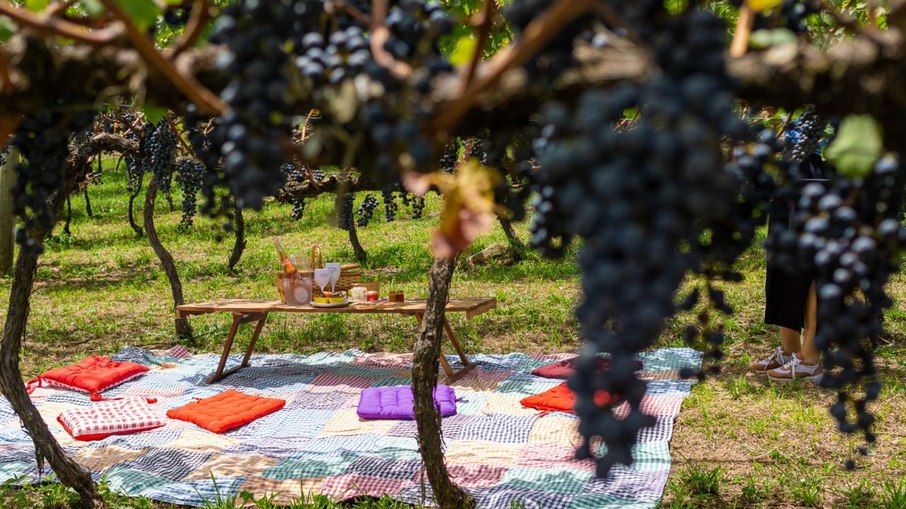 Área para piquenique em Vinhedo