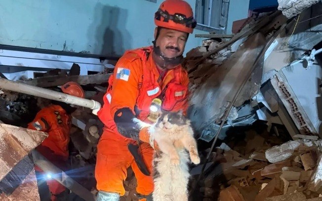 Gato resgatado pelo corpo de bombeiros