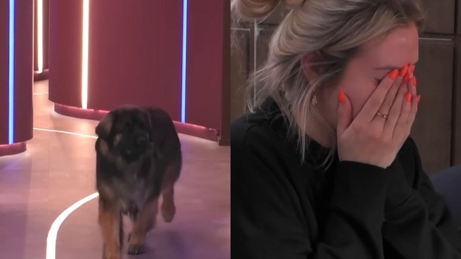 Cão de participante do Big Brother entra na casa e ela chora por não poder tocá-lo