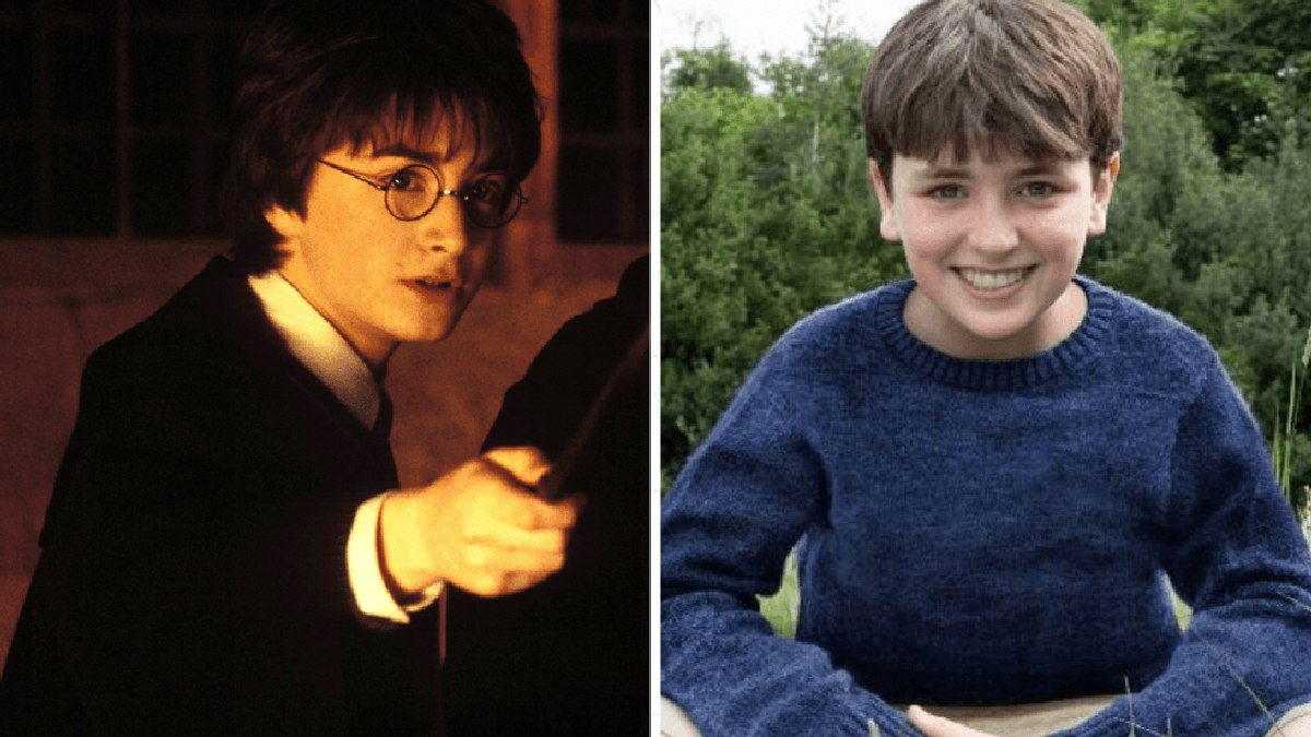 De Harry Potter para Harry Potter