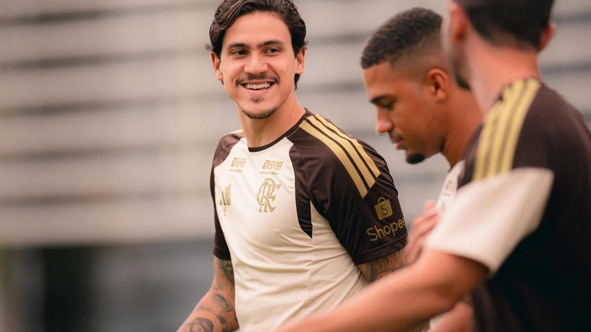 Palmeiras Empata na Vila Belmiro e Flamengo Dispara com 76,3% de Chance no Brasileirão