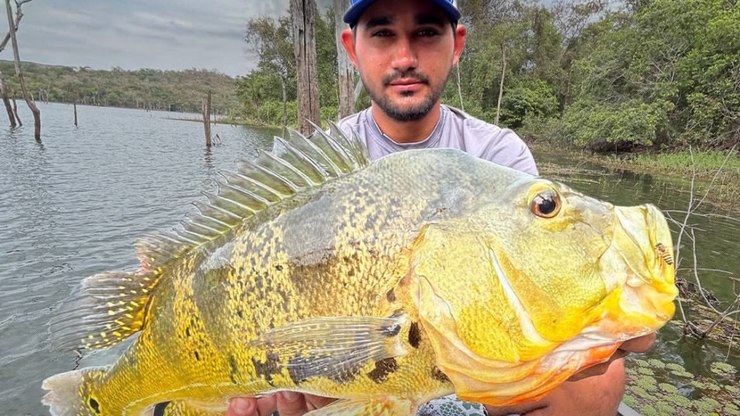 Pescador fisga tucunaré amarelo gigante e bate recorde no MT