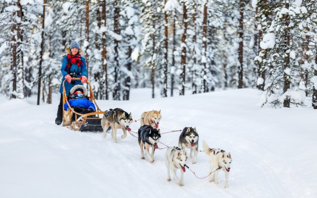 6 passeios imperdíveis para fazer na Lapônia durante o inverno