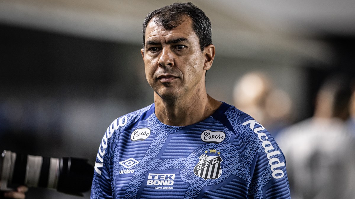 Fábio Carille foi campeão da Série B pelo Santos