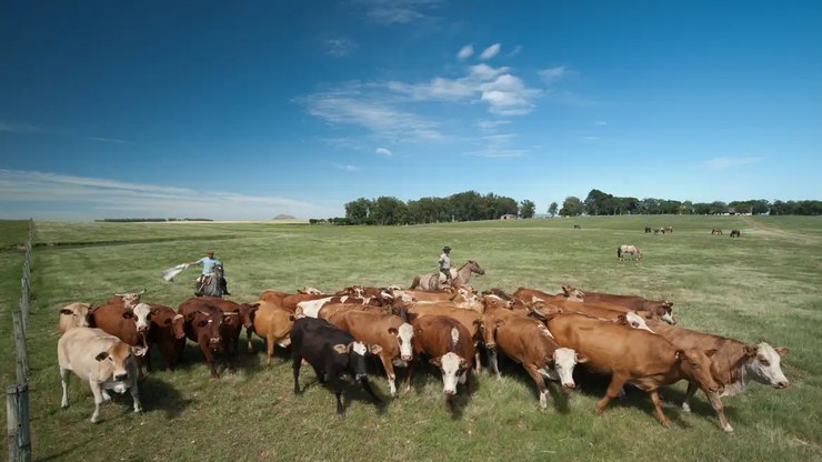 %C3%80s%20v%C3%A9speras%20do%20fim%20da%20COP30%2C%20emiss%C3%B5es%20de%20metano%20continuam%20subindo