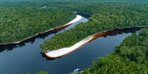 Congresso terá 7 em cada 10 parlamentares contra agenda ambiental