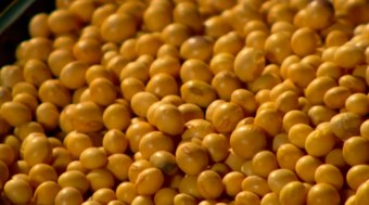 MG%3A%20exporta%C3%A7%C3%B5es%20de%20produtos%20agropecu%C3%A1rios%20atingem%2046%2C8%25%20do%20total%20do%20estado