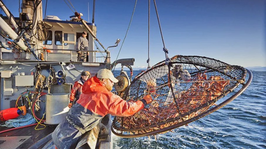 Pescadores enfrentam adversidades para realizar o trabalho Pescadores enfrentam adversidades para realizar o trabalho