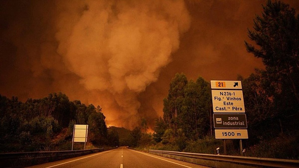 Les incendies chassent des milliers de personnes de leurs maisons en Europe |  Monde