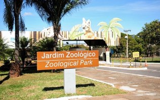 GDF confirma caso de gripe aviária no Zoológico de Brasília