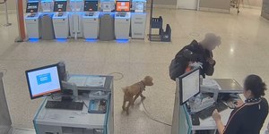 Mulher é presa após abandonar cachorro no check-in de aeroporto