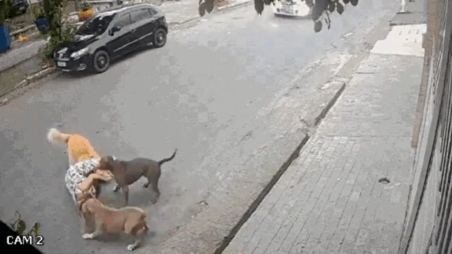 Grávida cai ao proteger cachorro de ataque em Santos e bebê passa bem Grávida cai ao proteger cachorro de ataque em Santos e bebê passa bem
