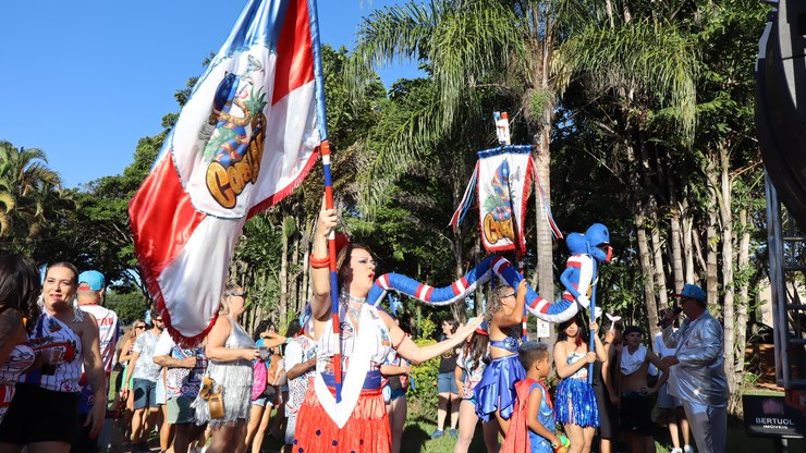 Carnaval 2026 de Vinhedo terá shows e ações nos bairros