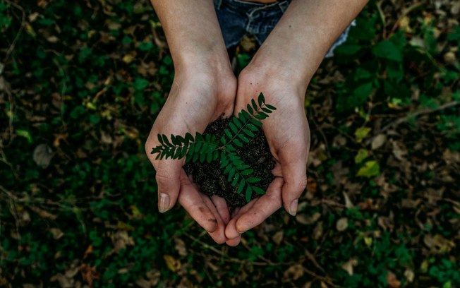 Future Climate abre a conta de restaurar 12 mil hectares