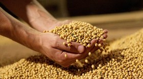 Setor rural lidera expansão econômica em SP com alta de 7,8%