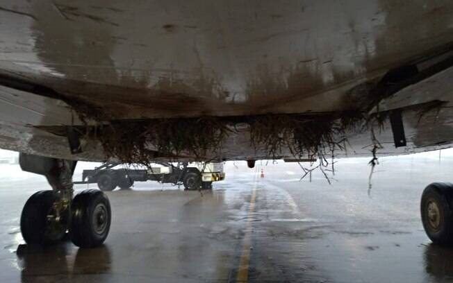 Roda de avião da Avianca invadiu grama da pista do aeroporto Galeão, no Rio de Janeiro