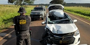 VÍDEO: traficante bate carro com 700kg de maconha durante fuga