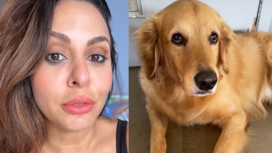 Alinne Rosa e o cão, 