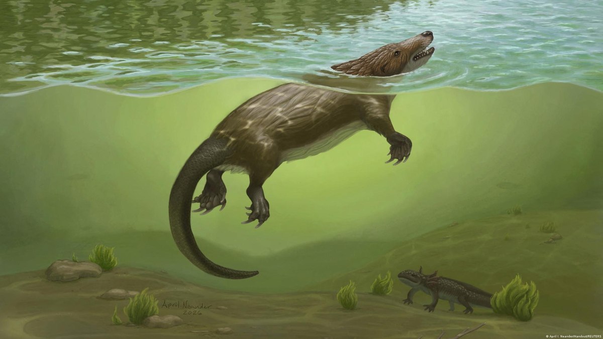 Descoberto mamífero do Jurássico que conviveu com dinossauros - Foto