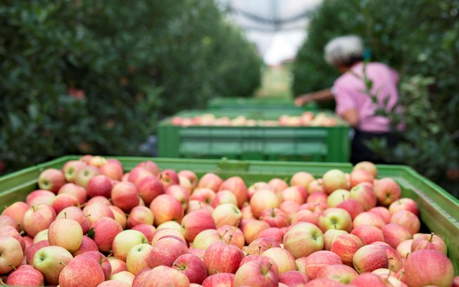 Umidade e a temperatura ameaçam exportação de alimentos