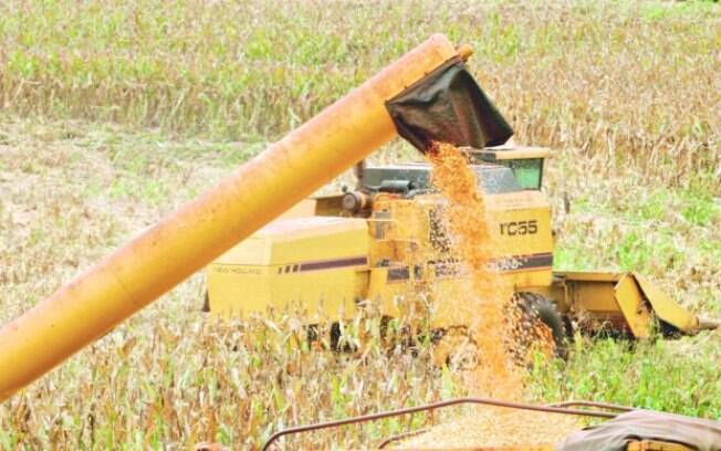 Centro-Oeste e Norte têm menor impacto na economia pelo agronegócio, mas Sul e Sudeste caem por parada de indústrias e comércio