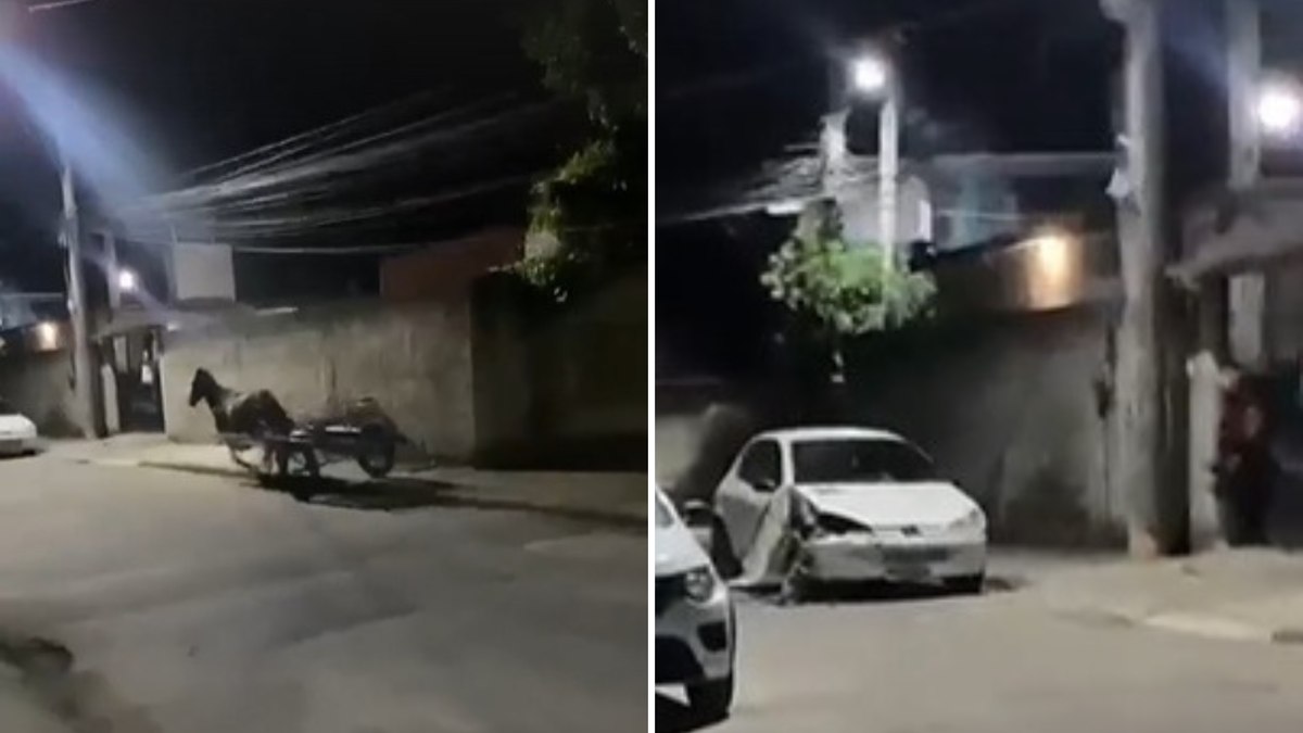 Cavalo desgovernado bate carroça em moto e destrói carro; assista