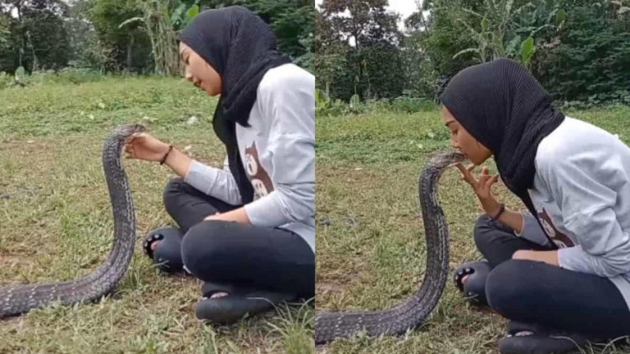 Mulher beija boca de cobra peçonhenta e gera revolta na web