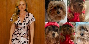 Angélica lamenta morte de cão: "Dói demais"