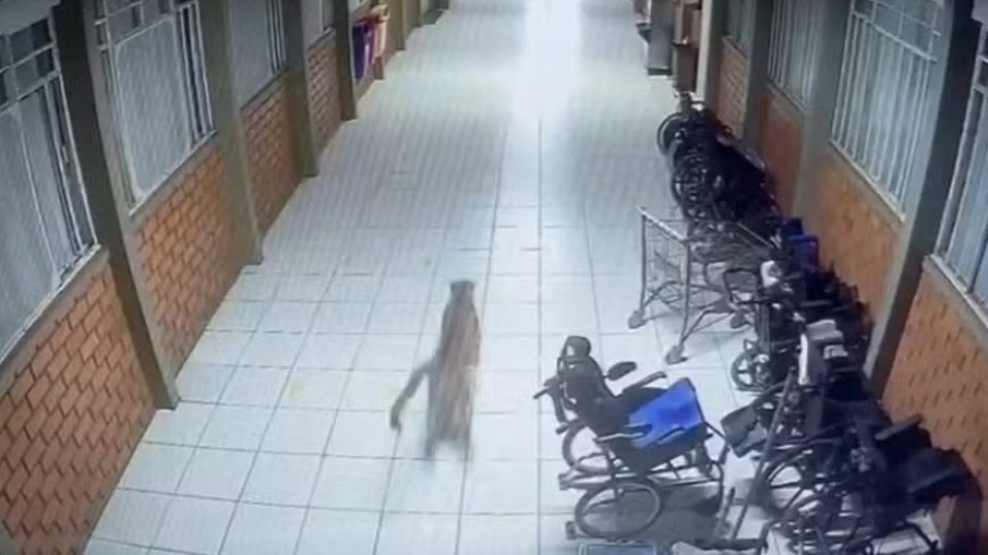 Como medida de precaução, a Apae suspendeu temporariamente as atividades presenciais