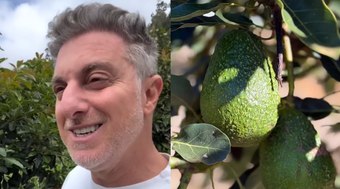 Luciano%20Huck%20revela%20fazenda%20de%20avocado%20na%20Serra%20da%20Mantiqueira