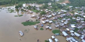 Clima extremo antecipa futuro das florestas tropicais