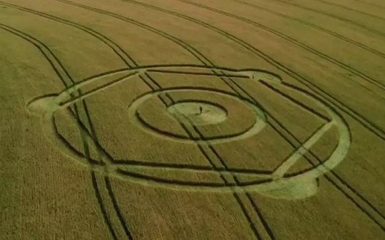 Mistério na plantação: Marca inexplicável surge em campo de trigo