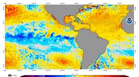 Elon Musk revela planos secretos em entrevista