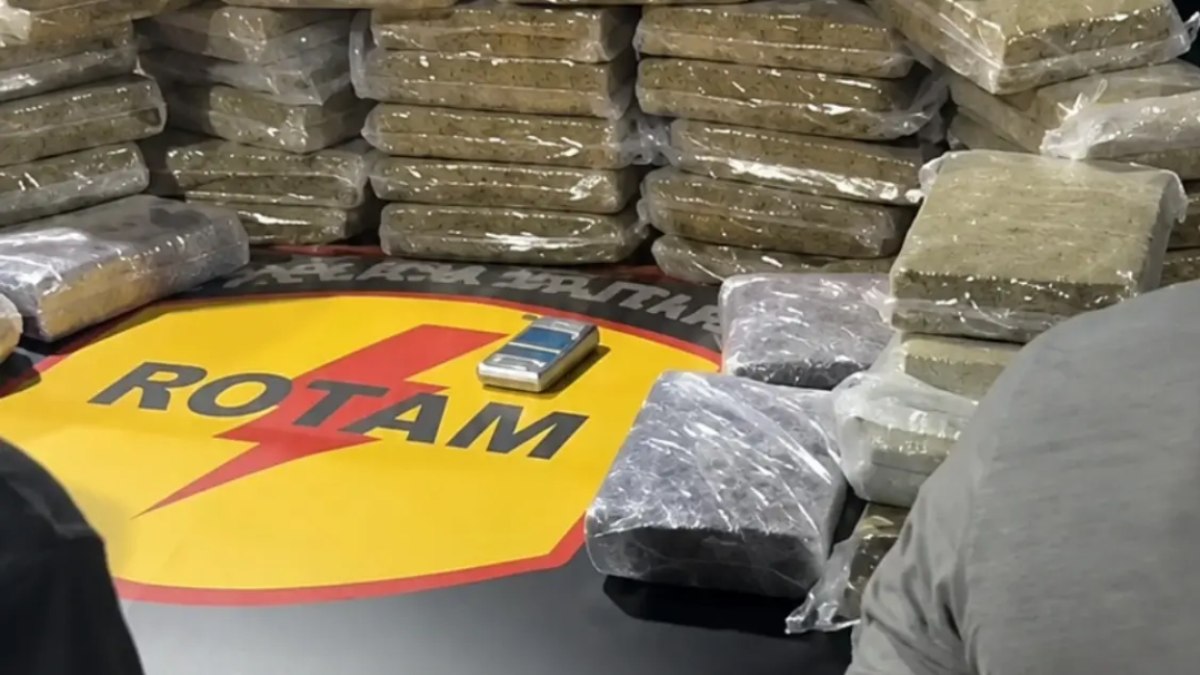 Morador de condomínio de luxo é preso com 50 kg de skunk, em Goiânia Morador de condomínio de luxo é preso com 50 kg de skunk, em Goiânia