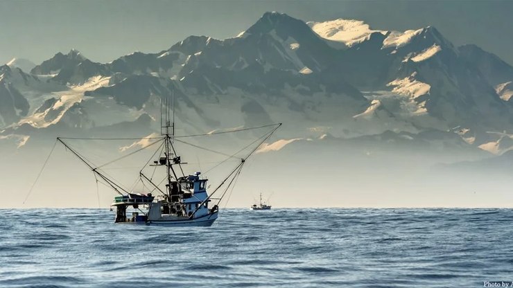 Pesca de arrasto responde por quase 60% dos descartes no mar