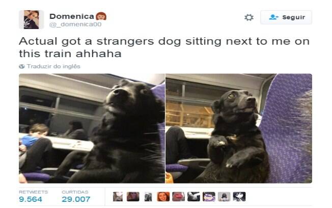 A legenda diz: 'Tem um cãozinho estranho sentado ao meu lado no trem haahahaha