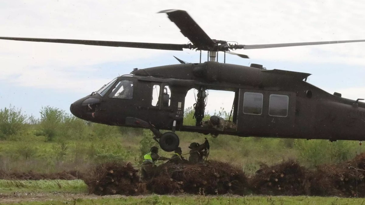 Helicópteros descartam 9 mil árvores de Natal em pântanos