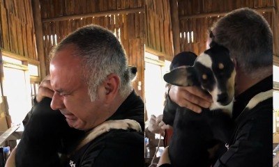 Homem se emociona ao reencontrar cadela resgatada; veja o vídeo