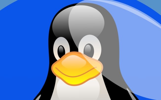 Linux é instalado e funciona em máquina com 4 MB de RAM