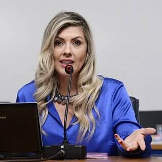 Vera Lúcia Gomes: 'a audiência online vai evitar deslocamentos, reduzir custos e proporcionar maior segurança'