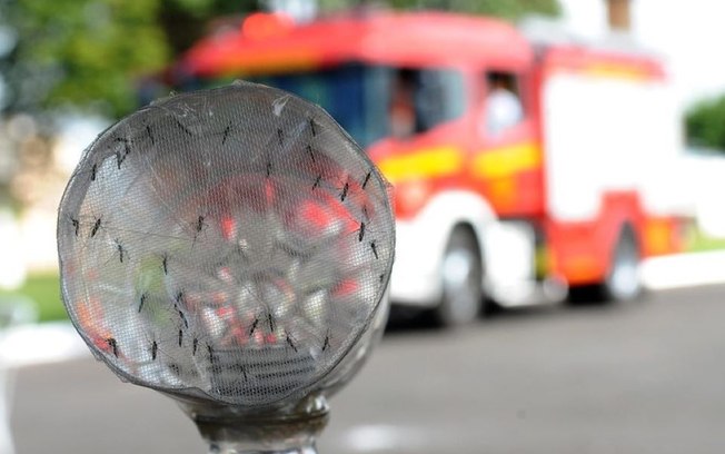 Com 6,3 milhões de casos prováveis, Brasil lidera ranking de dengue