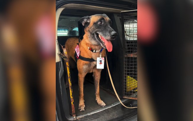 5dteflodh4h3rvmnxn6i8kj68