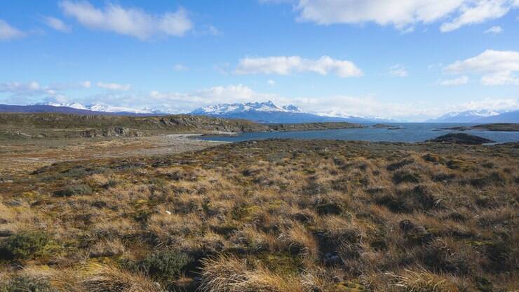 Ushuaia: o que visitar na cidade mais austral do mundo